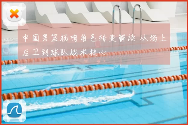 中国男篮杨鸣角色转变解读 从场上后卫到球队战术核心