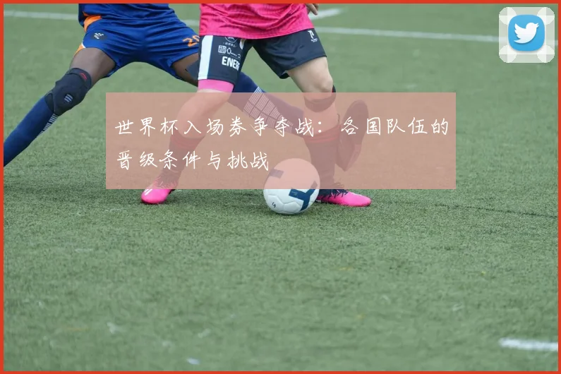 世界杯入场券争夺战:各国队伍的晋级条件与挑战