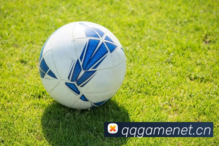 易游·(中国区)体育官方网站 - YY SPORTS发展历程